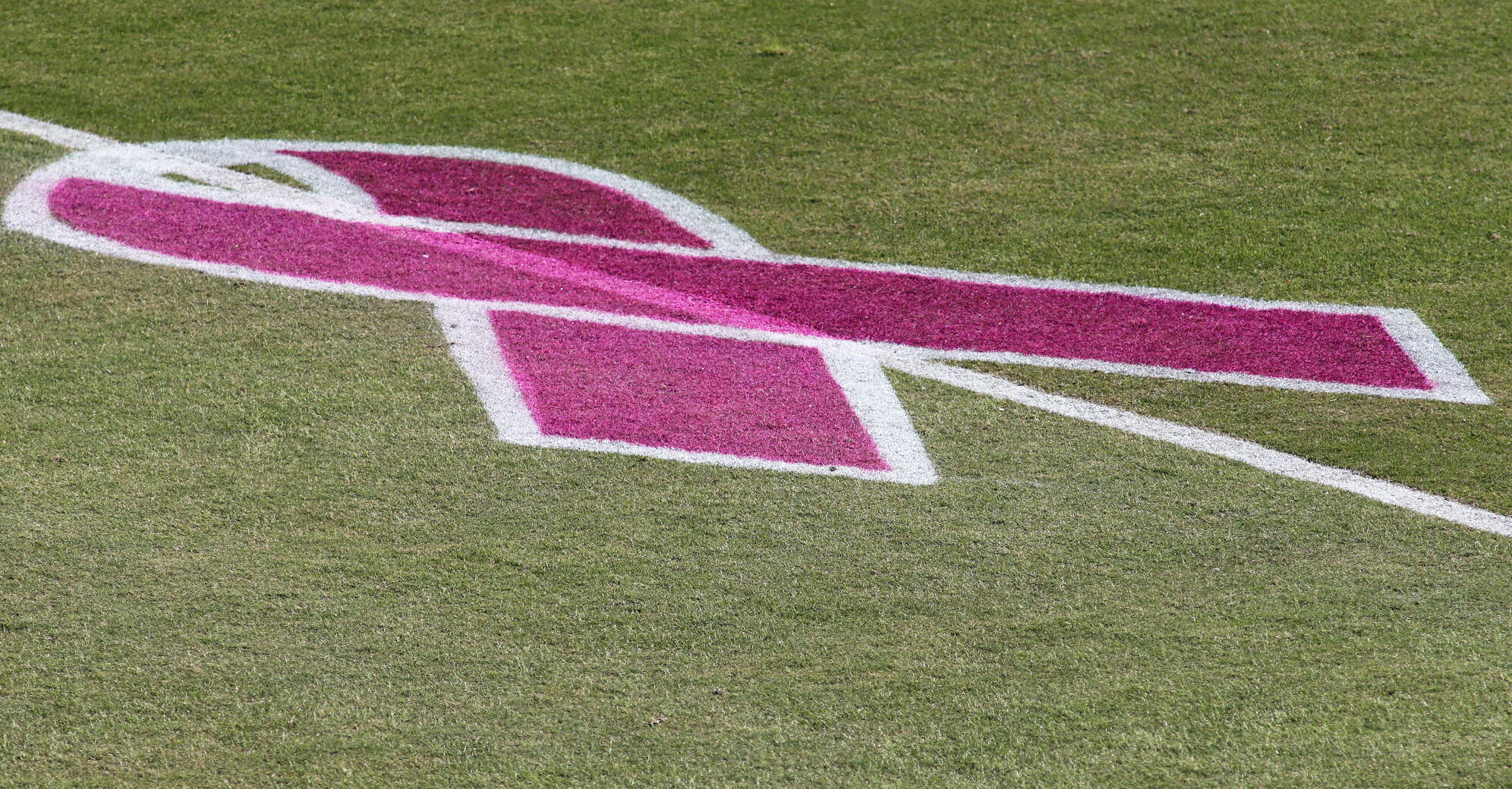 Breast Cancer Awareness Ribbon